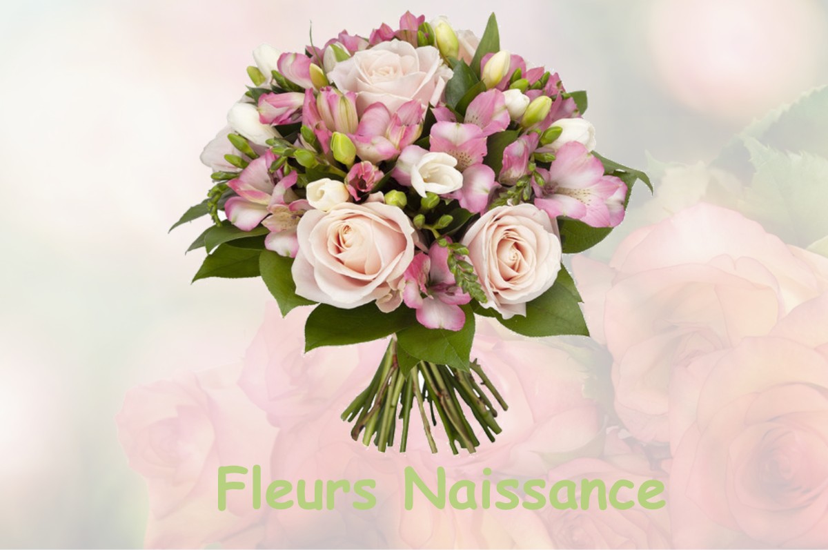 fleurs naissance SOUVANS